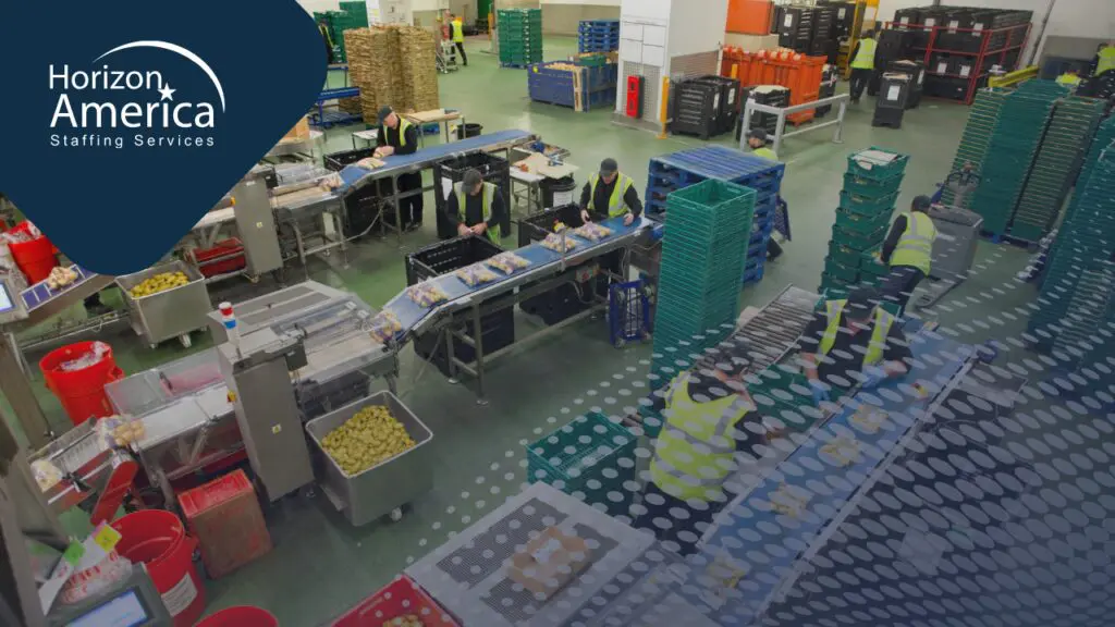 Workers in high-visibility vests sorting and packaging food products along a conveyor line inside a large food distribution and manufacturing facility.